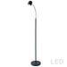 Dainolite 5 Watt LED Floor Lamp, Satin Black Finish - Renoz