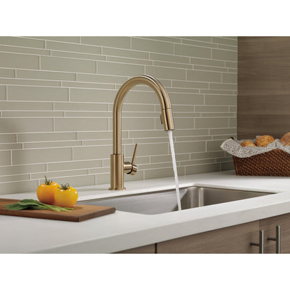 Delta TRINSIC Single Handle Pull-Down Kitchen Faucet- Champagne Bronze