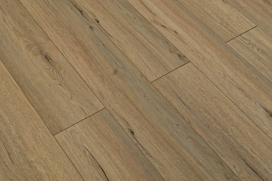 TriForest Laminate Flooring Embossed Matt-12 Series TF6201F - Renoz