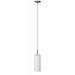 Dainolite 1 Light Pendant, Satin Chrome, White Frosted Glass - Renoz