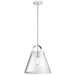 Dainolite 1 Light Incandescent Pendant Polished Chrome with Clear Glass - Renoz