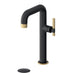 Tenzo BELLACIO -C 10H Tall Single Hole Lavatory Faucet With Drain