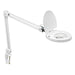 Dainolite 8W LED Magnifier Lamp, White - Renoz