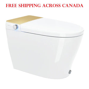 Equinox Smart Toilet All-in-one - Gold