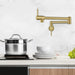 Kodaen Elegante Wallmount Kitchen Pot Filler - F22104