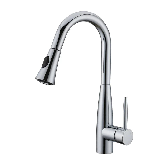 Kodaen Davison Pull-Down Dual Spray Kitchen Faucet F23113