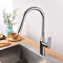 Kodaen Timelyss Pull-Down Dual Spray Kitchen Faucet F23134