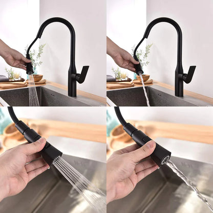 Kodaen Timelyss Pull-Down Dual Spray Kitchen Faucet F23134
