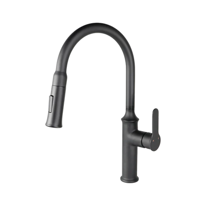 Kodaen Vuitton Pull-Down Dual Spray Kitchen Faucet F23900