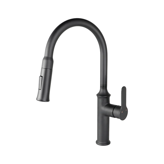 Kodaen Vuitton Pull-Down Dual Spray Kitchen Faucet F23900