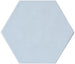 Olympia Hexagon Porcelain Tile Matte UD.OX.SKB.07.HEX.MT