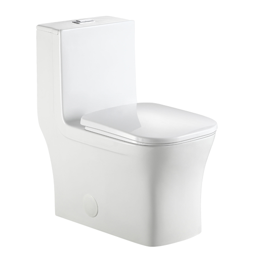 Toilette monobloc Aktuell FL AKK0329DF 