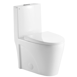 Toilette monobloc Aktuell Thor AKK0382DF 