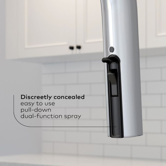 Kalia Enora Diver Single Handle Kitchen Faucet Pull-down Dual Spray