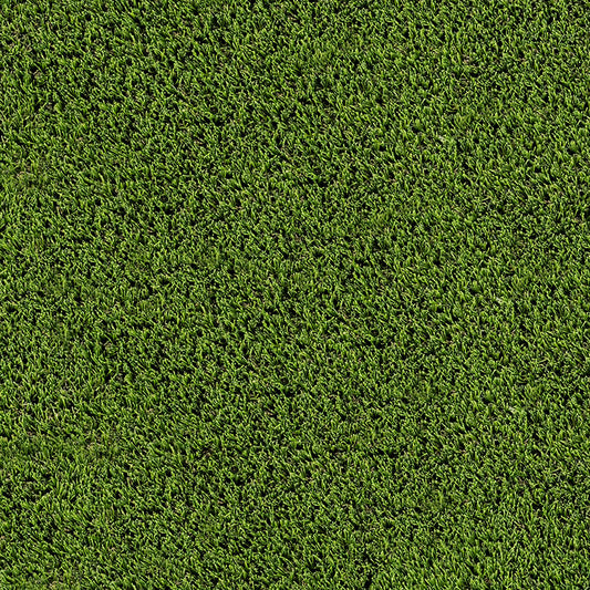 MSI Evergrass Emerald Green Turf 110