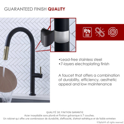 Stylish Catania Single Handle Pull Down Kitchen Faucet - Renoz