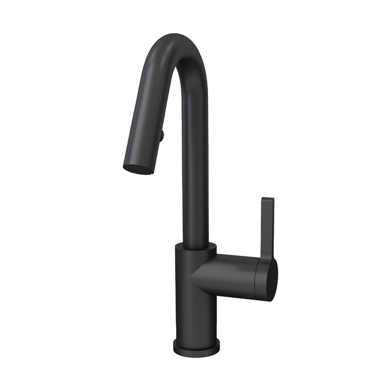 Rubi Endricks - Single Lever Kitchen Faucet-Black - Renoz