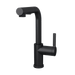 Rubi Endricks - Single Lever Kitchen Faucet-Black - Renoz