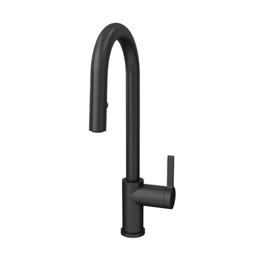 Rubi Endricks - Single Lever Kitchen Faucet-Black - Renoz