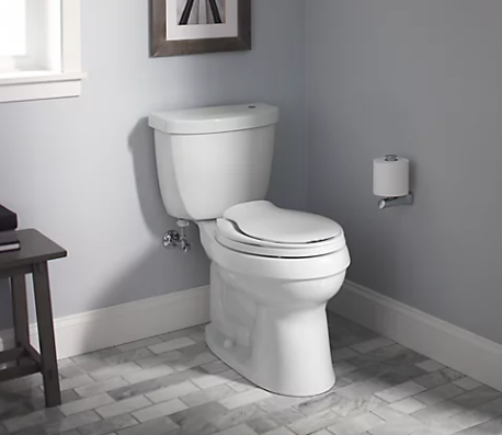 Kohler Reveal Nightlight Quiet-Close Elongated Toilet Seat in Ice