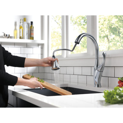 Delta ADDISON Single Handle Pull-Down Kitchen Faucet with ShieldSpray Technology- Arctic Stainless