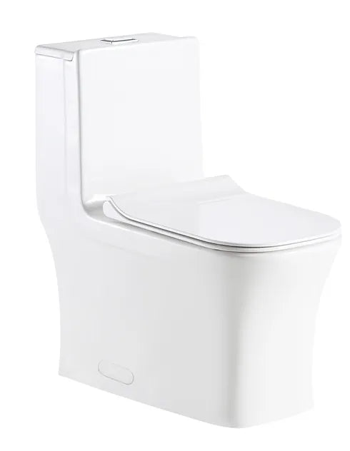 Liro Canada Toilette carrée monobloc à jupe complète Alta 12"