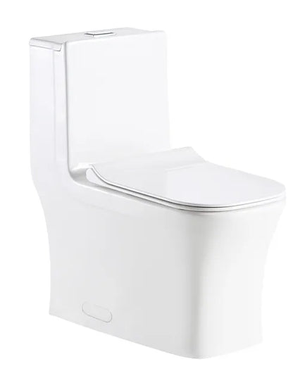 Liro Canada Toilette carrée monobloc à jupe complète Alta 12"