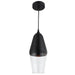 Dainolite 1 Light Incandescent Pendant, Black Finish with Clear and Painted Black Glass - Renoz