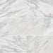 MSI Arabescato Carrara Marble 12 X 24 Polished