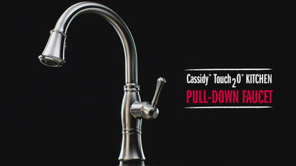 Delta CASSIDY Single Handle Pull-Down Kitchen Faucet with Touch2O and ShieldSpray Technologies- Venetian Bronze