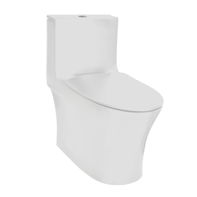 Rubi One-Piece Toilet - RCM130XX